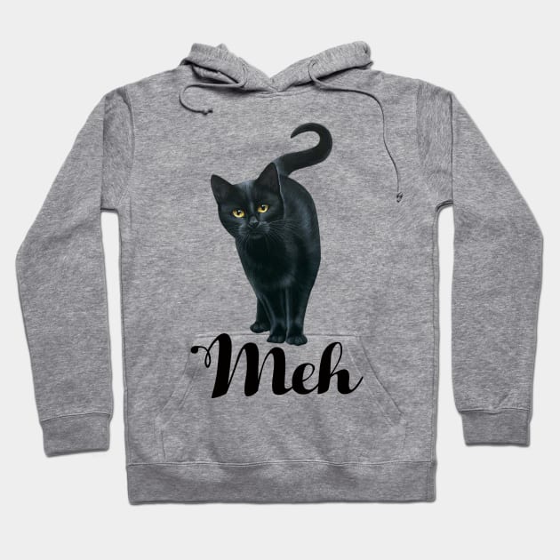 Funny Meh Cat Hoodie by ValentinkapngTee